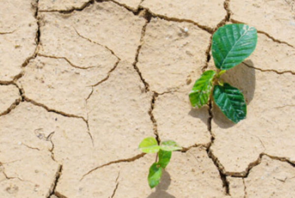 siccità elettropompe